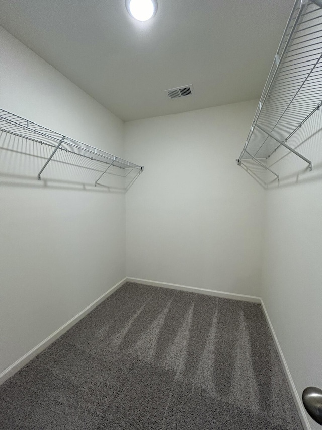 2502 Scarlett Maple St, Summerville, SC 29486 - spacious closet featuring carpet flooring