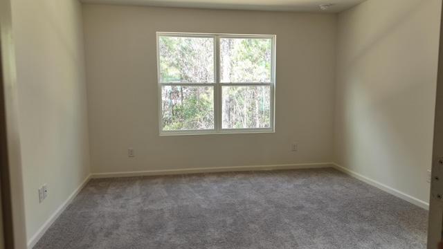2502 Scarlett Maple St, Summerville, SC 29486 - carpeted spare room with healthy amount of natural light and a smoke detector