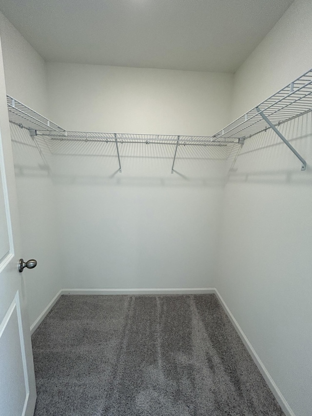 2502 Scarlett Maple St, Summerville, SC 29486 - walk in closet with carpet