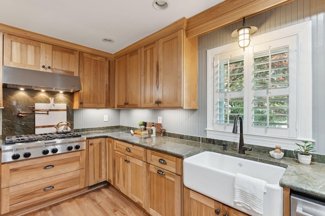kitchen with a sink, light wood finished floors, backsplash, exhaust hood, and stainless steel appliances