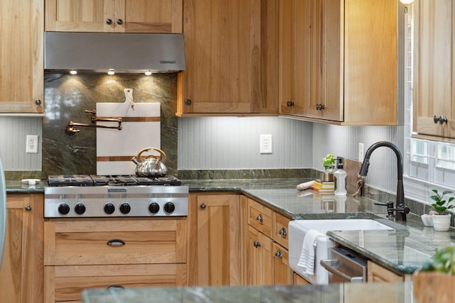 kitchen featuring decorative backsplash, ventilation hood, a sink, dark stone countertops, and appliances with stainless steel finishes
