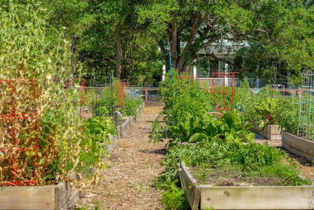 view of yard with fence and a vegetable garden