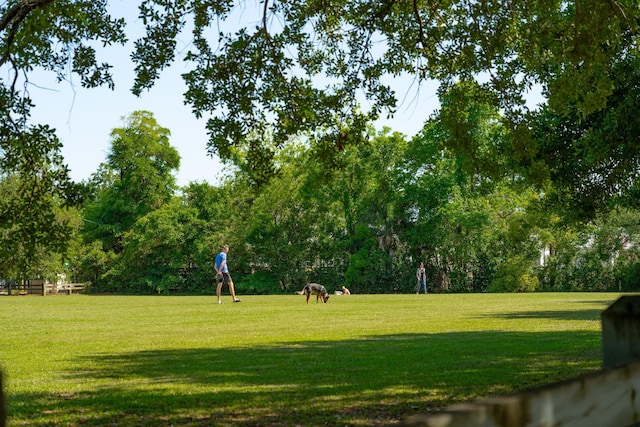 surrounding community featuring a lawn