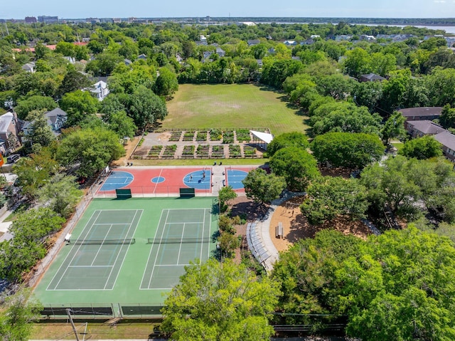 bird's eye view