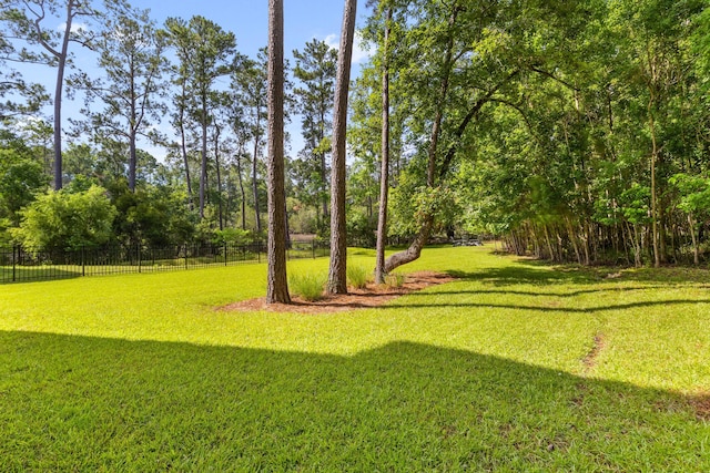 129 Martins Point Dr, Wando, SC 29492 - view of yard