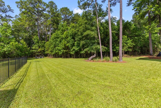 129 Martins Point Dr, Wando, SC 29492 - view of yard