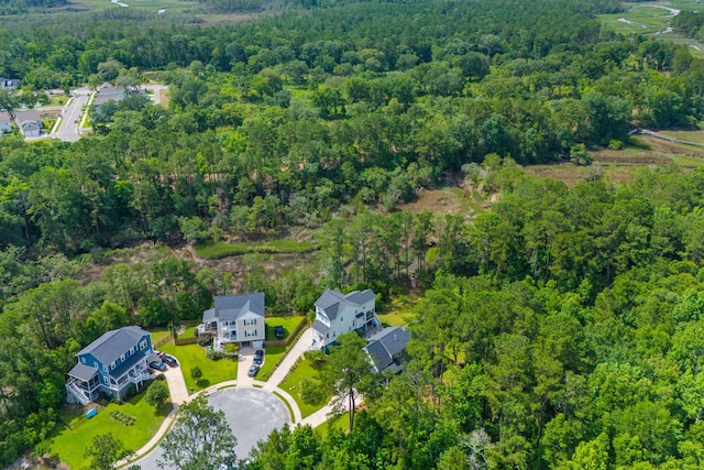 129 Martins Point Dr, Wando, SC 29492 - aerial view of property's location with a forest