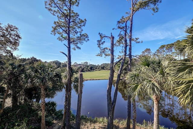 property view of water