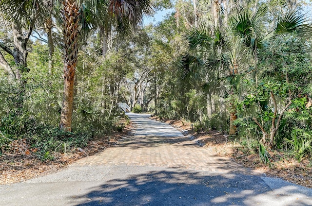 view of road