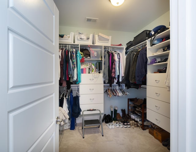 spacious closet with light colored carpet