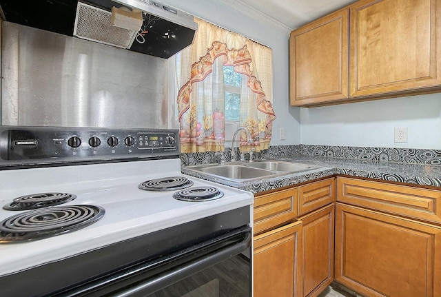 kitchen with range with electric cooktop and sink