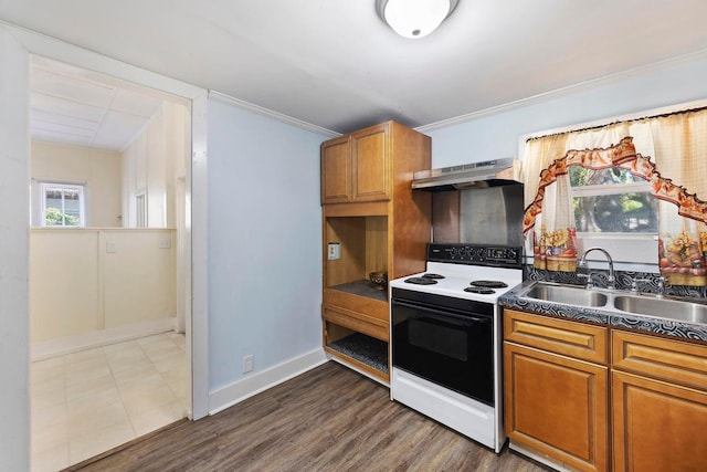 kitchen with white electric range oven, ventilation hood, dark wood-type flooring, sink, and ornamental molding