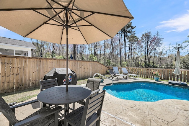 1173 Triple Crown Ct, Mount Pleasant, SC 29429 - view of pool featuring a fenced backyard, outdoor dining area, a patio, and a fenced in pool