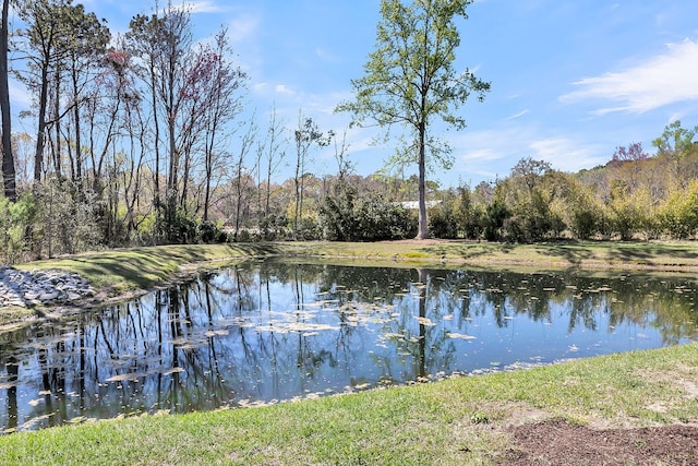 1173 Triple Crown Ct, Mount Pleasant, SC 29429 - view of water feature