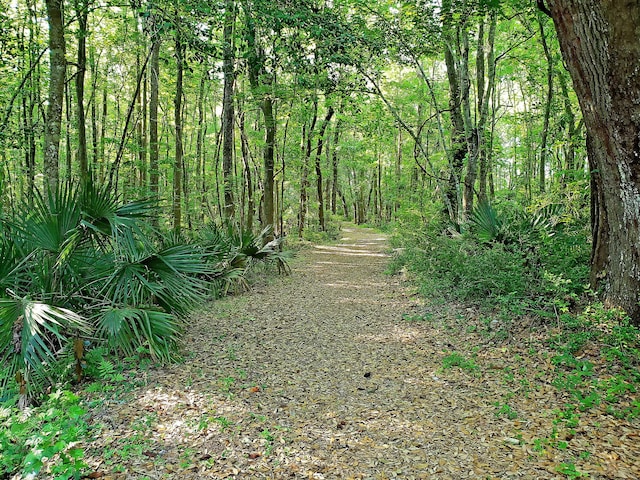 1173 Triple Crown Ct, Mount Pleasant, SC 29429 - view of nature featuring a wooded view