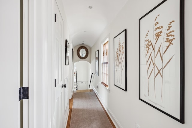 hallway featuring carpet