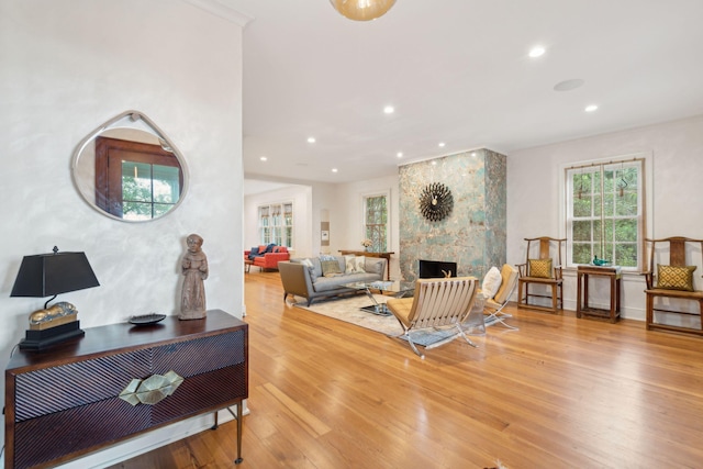 living room featuring a large fireplace and wood-type flooring