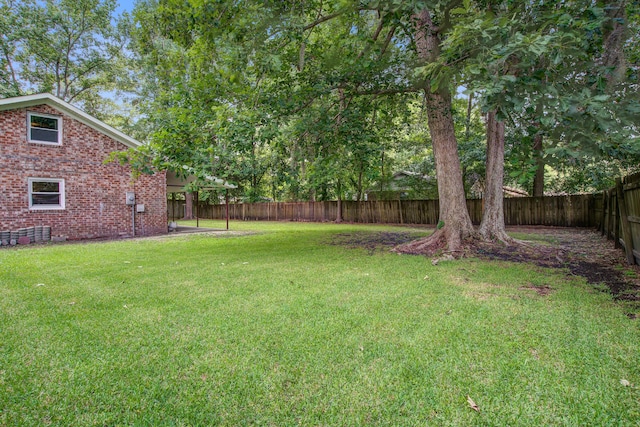 110 Terry Ave, Summerville, SC 29485 - view of yard