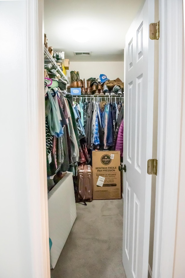 spacious closet featuring carpet flooring