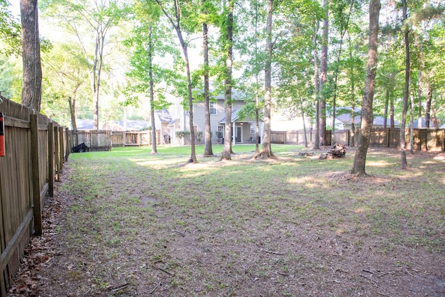 view of yard
