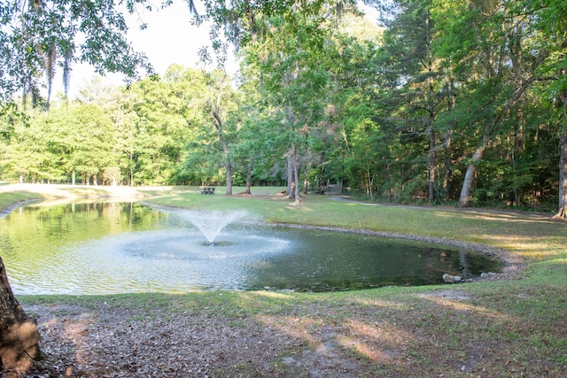 water view