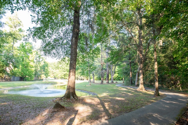 view of green lawn with a water view