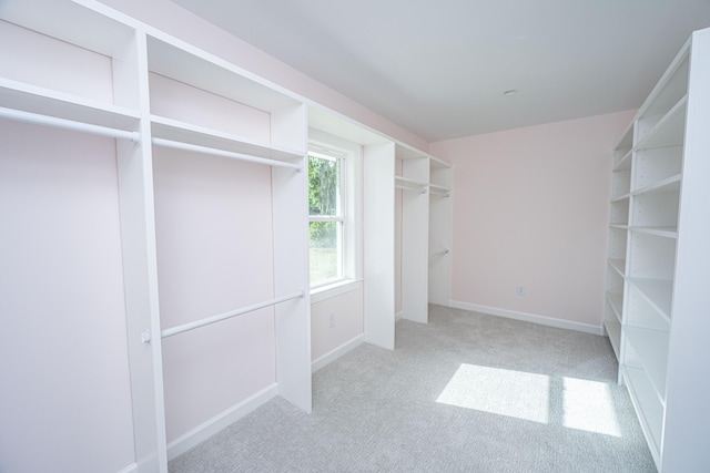 881 Evans Rd, Charleston, SC 29412 - spacious closet with carpet flooring