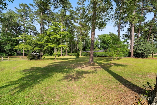 view of yard featuring view of wooded area