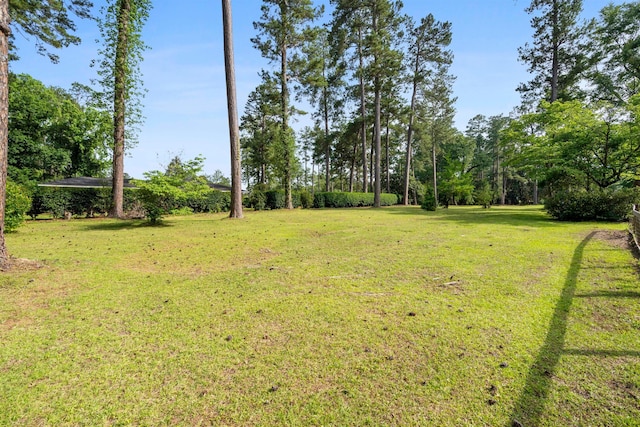 view of grassy yard