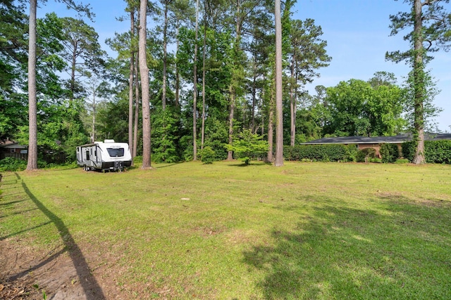 view of grassy yard
