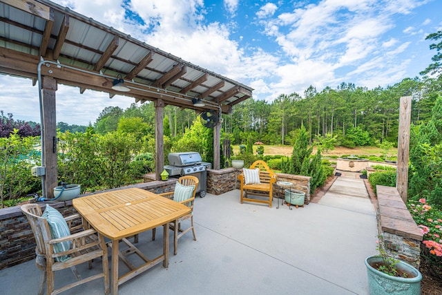 225 Camber Rd, Huger, SC 29450 - view of patio / terrace with outdoor dining space