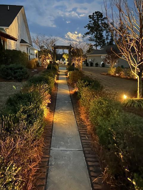 225 Camber Rd, Huger, SC 29450 - view of road