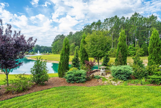 225 Camber Rd, Huger, SC 29450 - view of green lawn featuring a water view