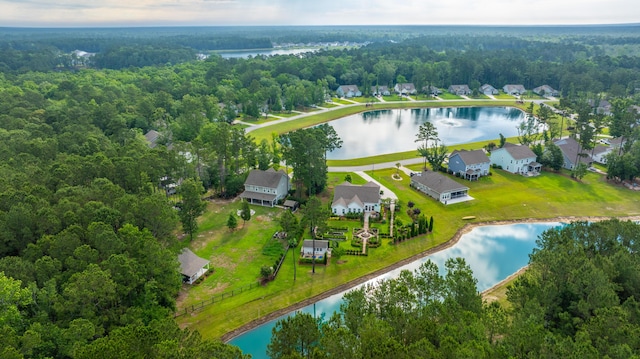 225 Camber Rd, Huger, SC 29450 - aerial view of a large body of water and a heavily wooded area
