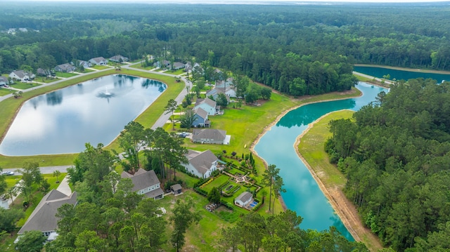 225 Camber Rd, Huger, SC 29450 - aerial view of property and surrounding area featuring a heavily wooded area and a nearby body of water