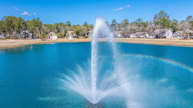 225 Camber Rd, Huger, SC 29450 - view of pool featuring a water view, a residential view, and view of wooded area