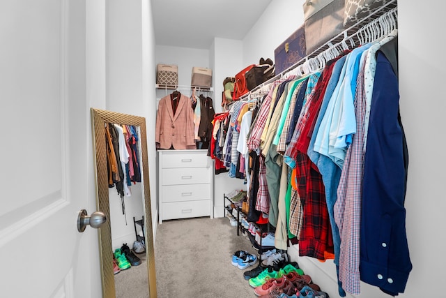1238 Homecoming Blvd, Ravenel, SC 29470 - spacious closet featuring carpet