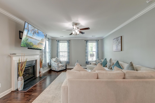 living area featuring crown molding, a glass covered fireplace, dark wood finished floors, ceiling fan, and baseboards