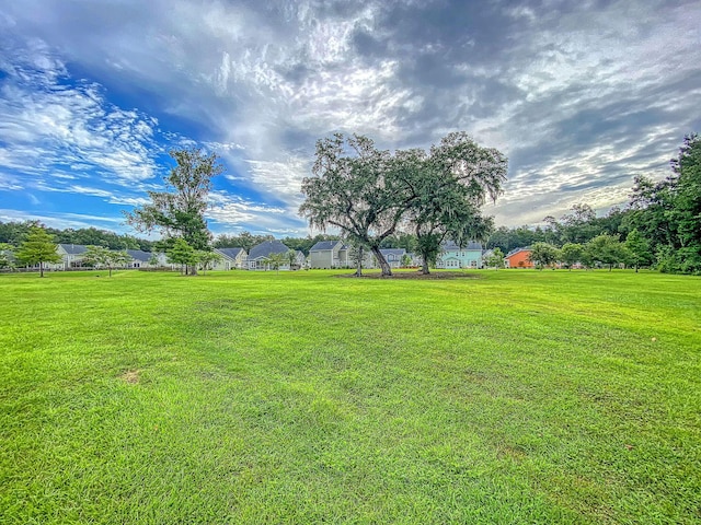 view of green lawn
