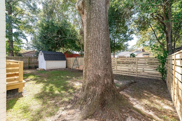 view of yard featuring a storage shed