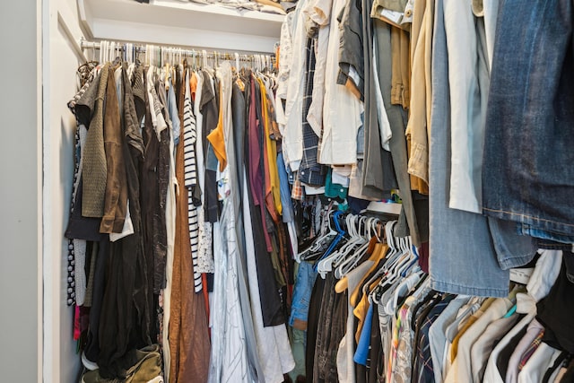 view of spacious closet