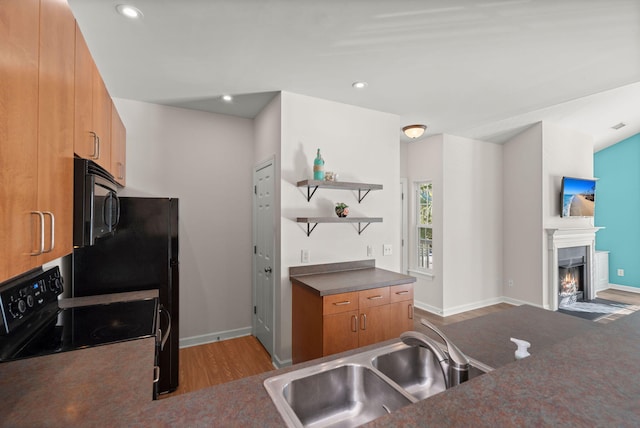 kitchen with light hardwood / wood-style flooring, black appliances, and sink