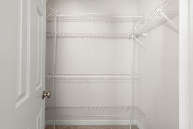 view of walk in closet