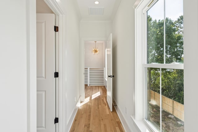 corridor with light hardwood / wood-style floors and a healthy amount of sunlight