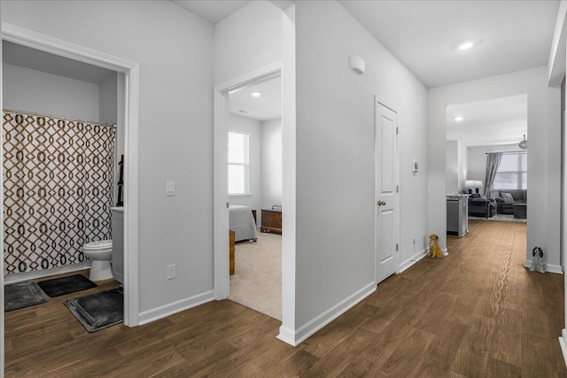 hall with plenty of natural light and dark wood-type flooring