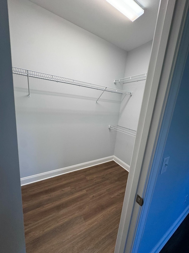 walk in closet featuring dark wood-style flooring