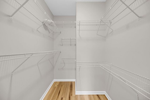 walk in closet with light wood finished floors