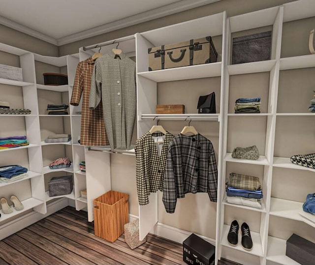 spacious closet with hardwood / wood-style floors