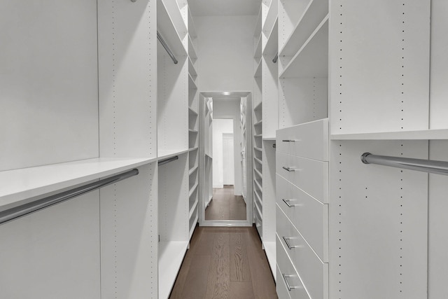 walk in closet with dark hardwood / wood-style flooring