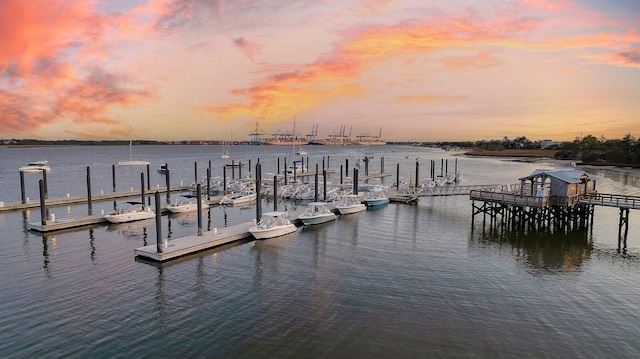 dock area with a water view